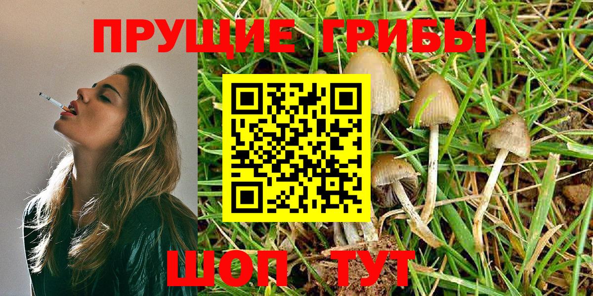 Воткинск  Псилоцибиновые грибы Psilocybe  наркошоп  Вход с VPN 