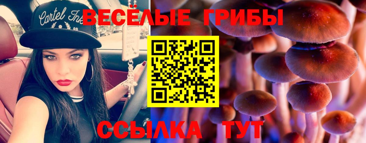 Псилоцибиновые грибы Psilocybe Воткинск
